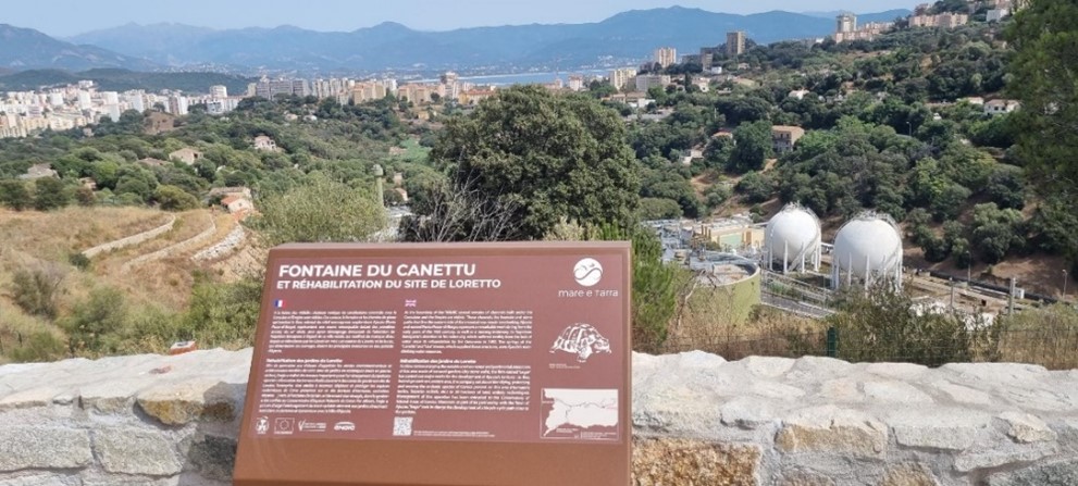 Construction des restanques : Janvier 2022