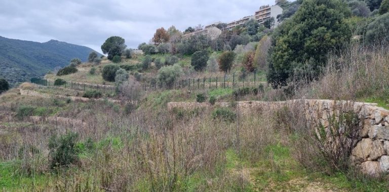 Construction des restanques : Mars 2018